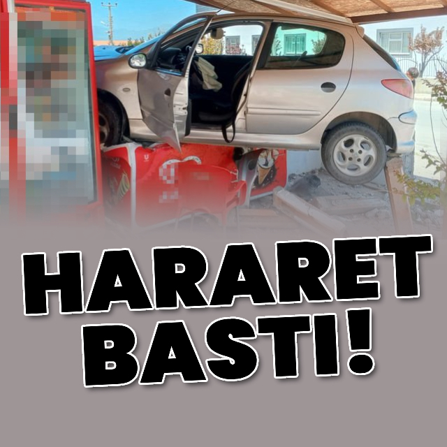 Kontrolden çıktı, dondurma dolabının üzerine çıktı!