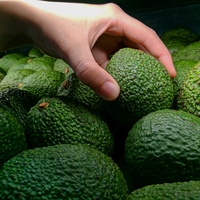 Sert avokado nasıl yemeye hazır hale getirilir?