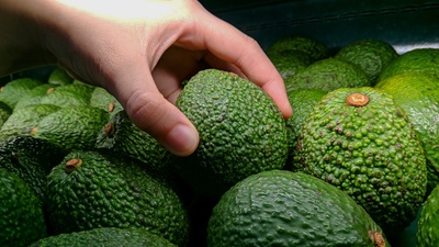 Sert avokado nasıl yemeye hazır hale getirilir?