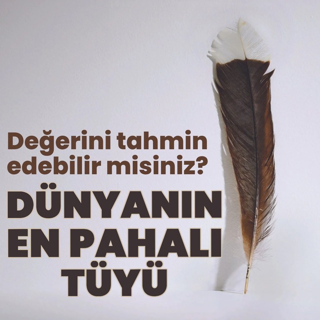 İşte dünyanın en pahalı tüyü!