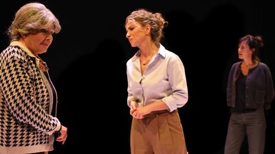 'Sivrisinekler' oyunu Frankfurt'ta