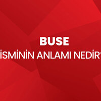 Buse isminin anlamı nedir?