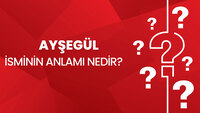 Ayşegül isminin anlamı nedir?