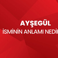 Ayşegül isminin anlamı nedir?