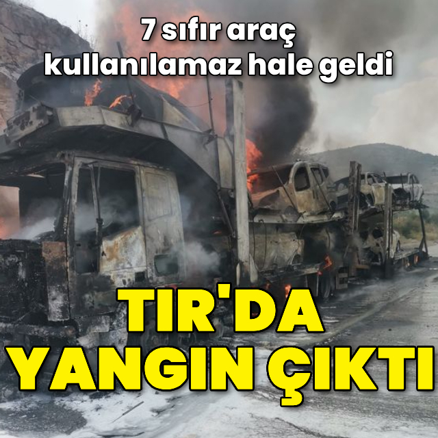 TIR'da yangın: 7 sıfır araç küle döndü