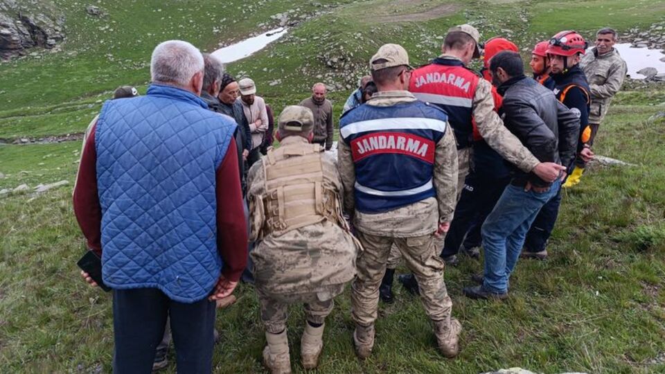 Hayvan otlatırken yıldırım isabet etti