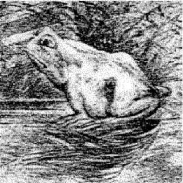 Bu resimdeki atı bulabilir misiniz?