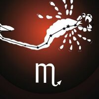 14 Kasım Hangi Burç?