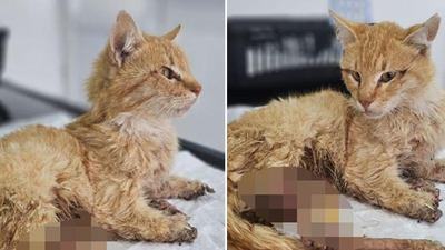 Kayseri'de vahşet! Kurtarılamadı