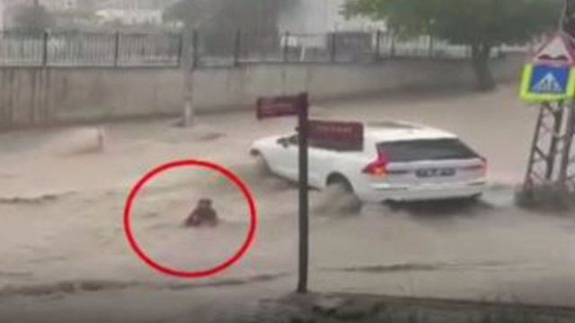 Sağanak hayatı olumsuz etkiledi: Ev ve iş yerlerini su bastı, selde can pazarı yaşandı