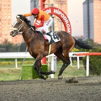 19 Mayıs Koşusu'nu Vincitore kazandı