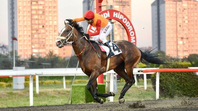 19 Mayıs Koşusu'nu Vincitore kazandı