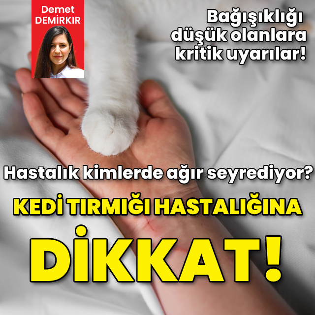 Kedi tırmığı hastalığına dikkat!