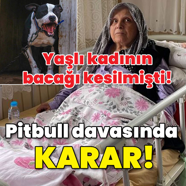 Yaşlı kadının bacağı kesilmişti! Pitbull davasında karar!