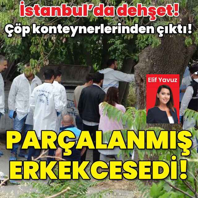 3 çöp konteynerinde parçalanmış erkek cesedi bulundu!