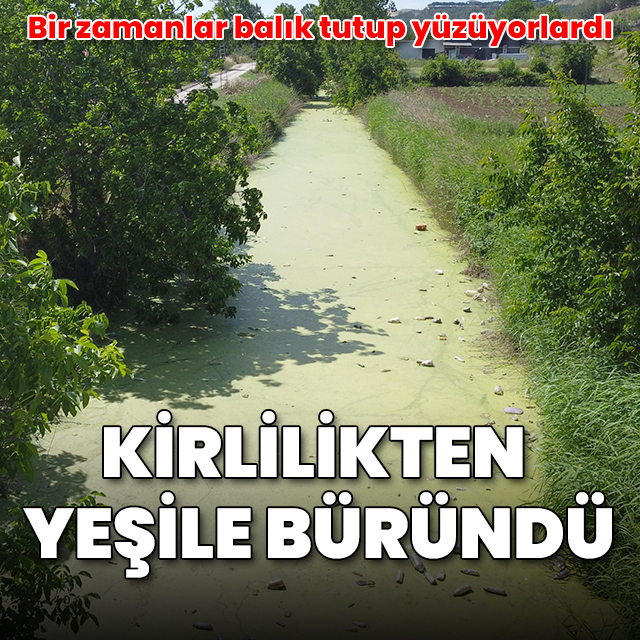 Bayır Deresi kirlilikten yeşile büründü