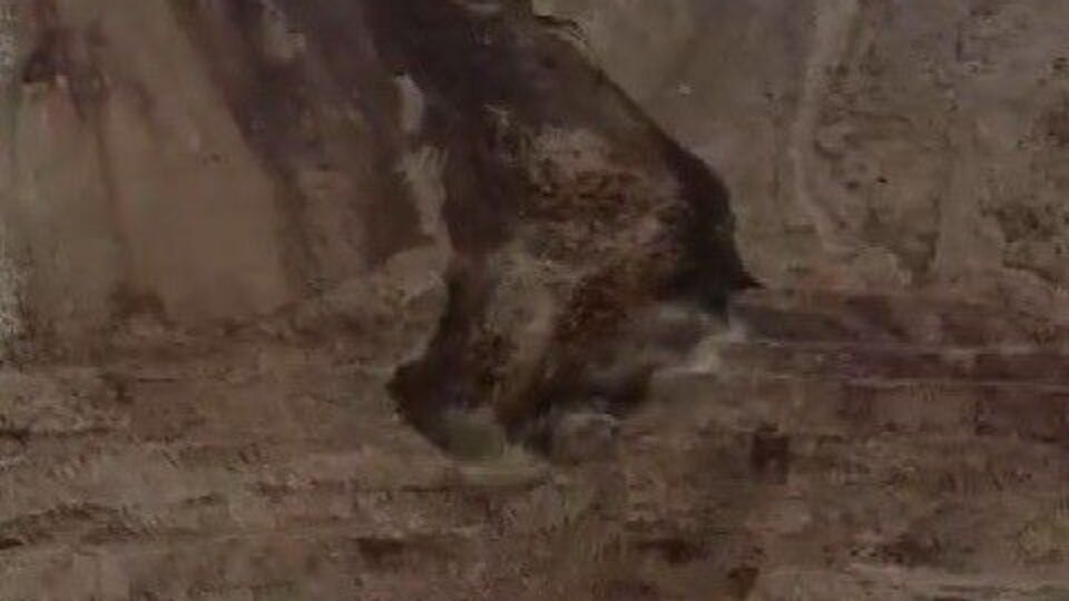 İliç'te bir toprak kayması daha oldu