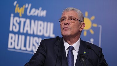 Dervişoğlu'ndan sokak köpekleri açıklaması