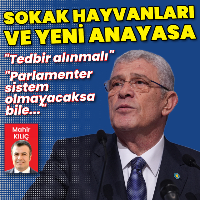 Dervişoğlu'ndan sokak köpekleri açıklaması