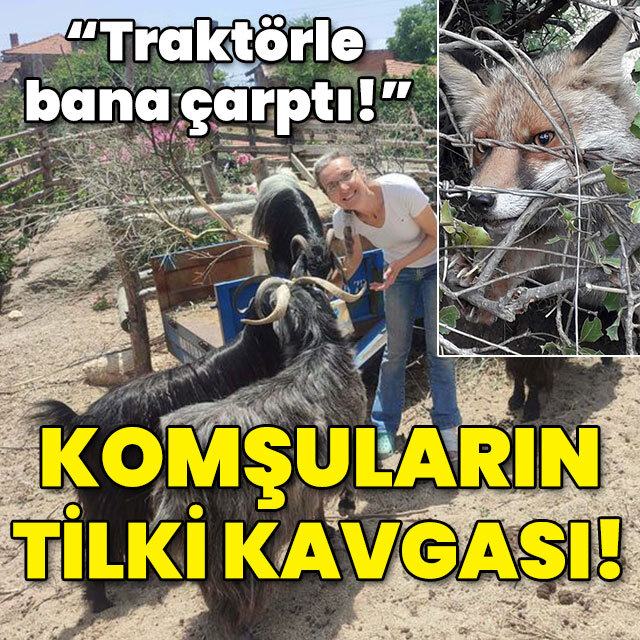 "Traktörle bana çarptı!" Komşuların tilki kavgası!