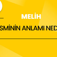 Melih İsminin Anlamı Nedir?
