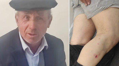 Sivas'ta yaşandı! Ayının saldırısından inekleri kurtardı!