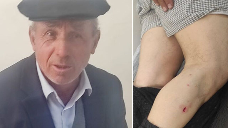 Sivas'ta yaşandı! Ayının saldırısından inekleri kurtardı!