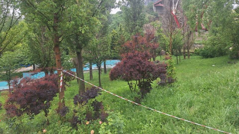 Ankara'da vadide cansız erkek bedeni bulundu