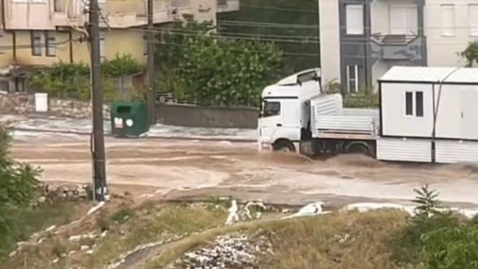 Selin içinde can pazarı