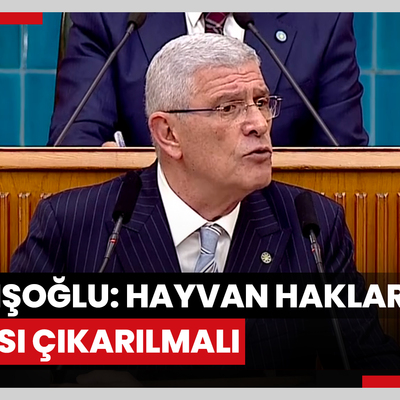 İYİ Parti lideri Dervişoğlu: Hayvan hakları yasası çıkarılmalı