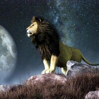 17 Ağustos hangi burç?