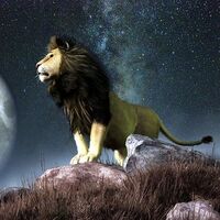 19 Ağustos hangi burç?