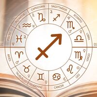 21 Aralık hangi burç?