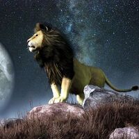 28 Temmuz hangi burç?