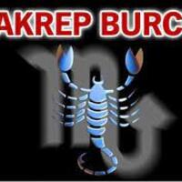 1 Kasım hangi burç?