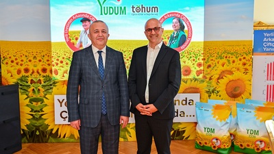 Yerli ayçiçeği tohumu üretildi