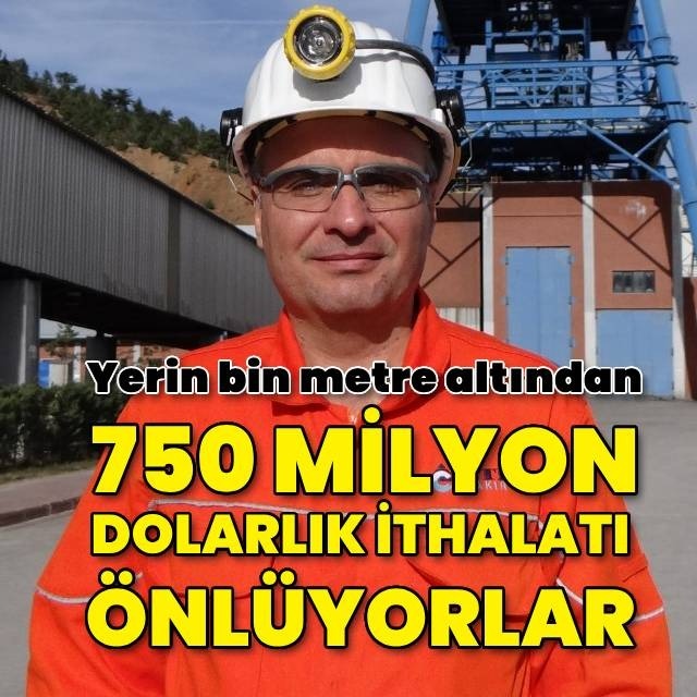 750 milyon dolarlık ithalatı önlüyorlar