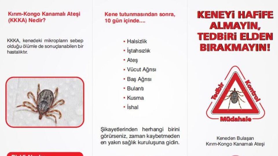 Giresun'da kene kabusu: 1 kişi öldü