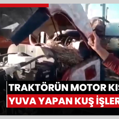 Traktörünün motor kısmına kuş yuva yapınca tarla işlerini erteledi