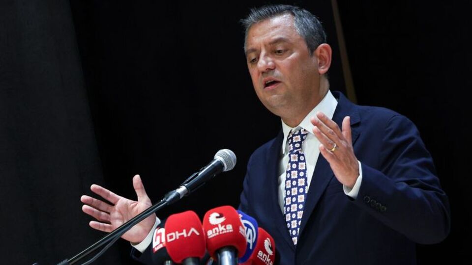 "Sokak hayvanları için kampanya yapmalıyız"