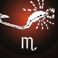 18 Kasım hangi burç?