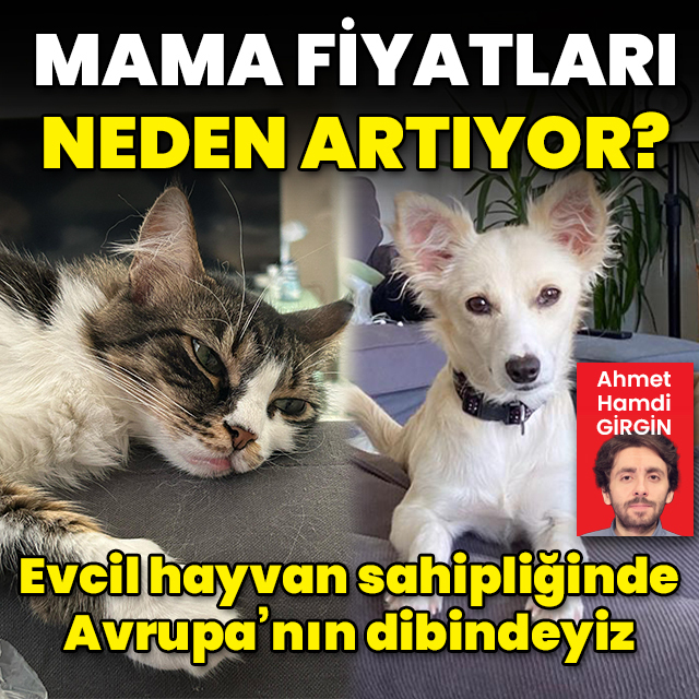 Mama fiyatları neden artıyor?