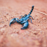 30 Ekim hangi burç?