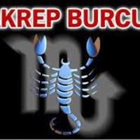 31 Ekim hangi burç?