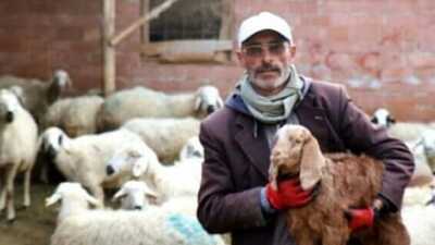 Muhtarlık seçimini kaybetmesinin ardından yazdığı şiirle gündem olmuştu: Aydın Battal dolandırıldı
