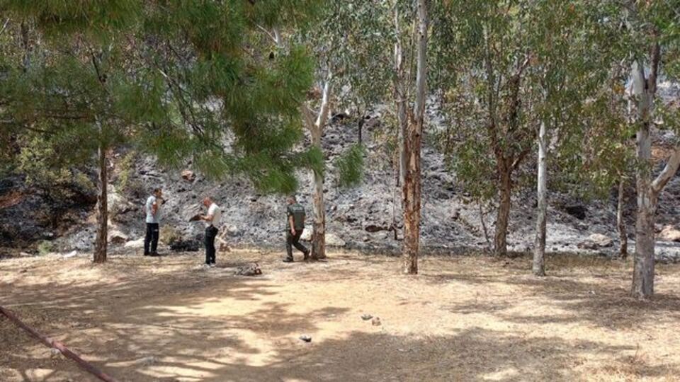 İzmir'de ormanlık alanlara giriş yasaklandı