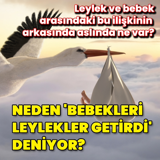Neden bebekleri leylek getirdi deniyor?
