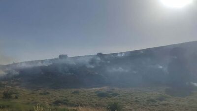 Foça'da yangın kontrol altında