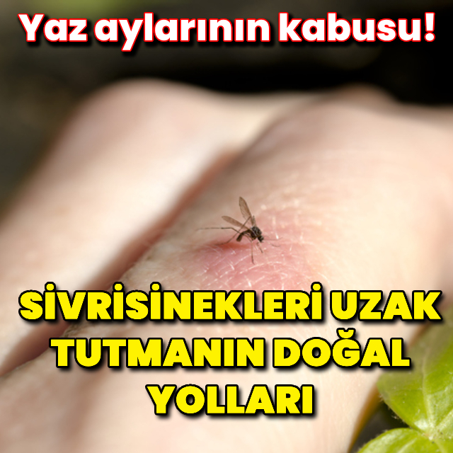 Sivrisinekleri uzak tutmanın doğal yolları!