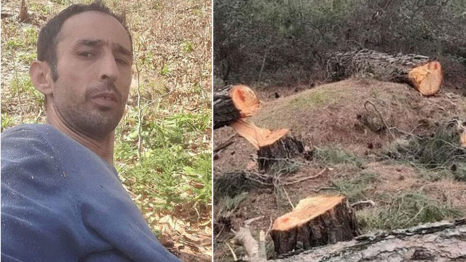 Ormanda feci ölüm!